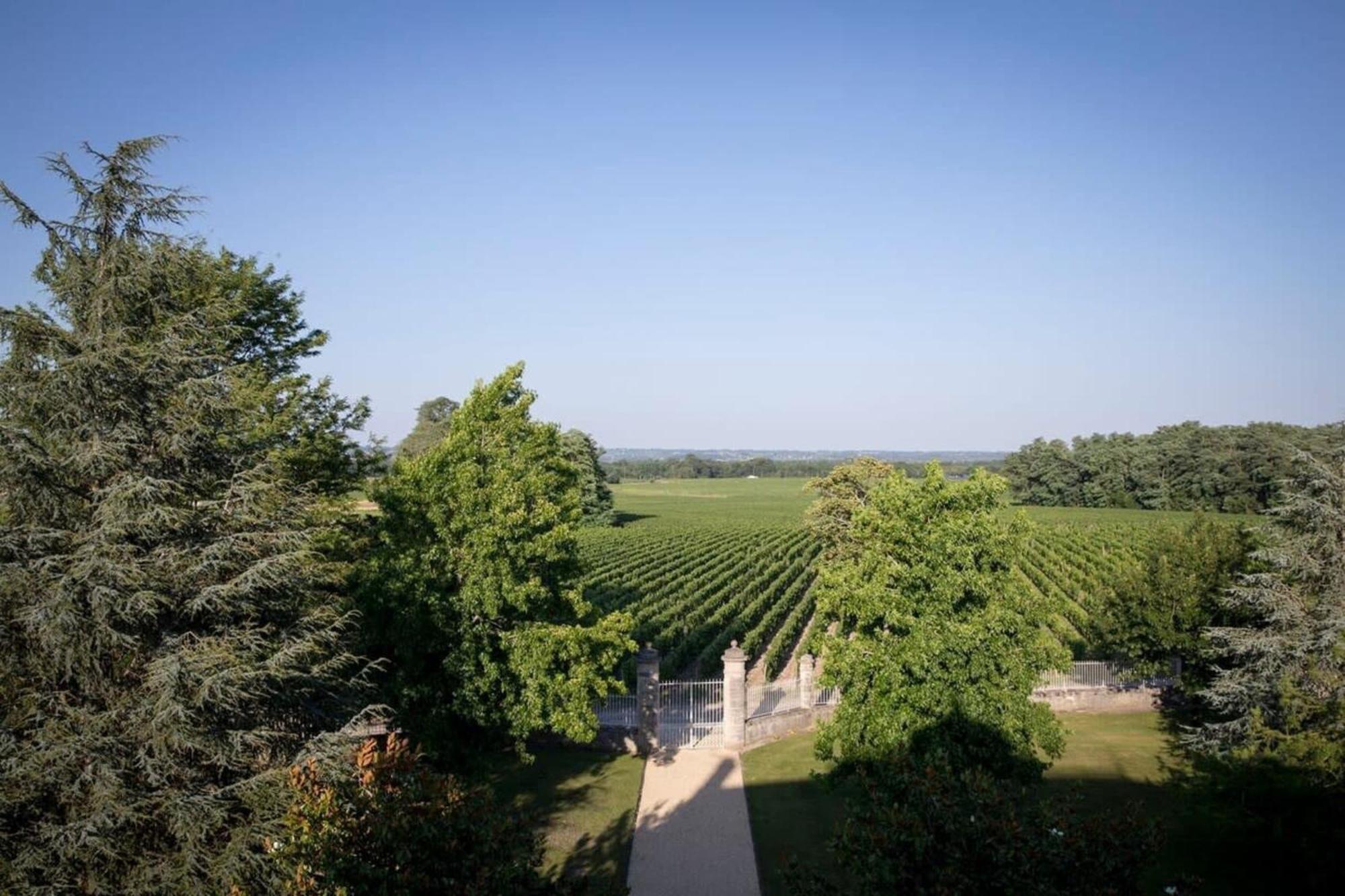 Chateau Malescasse Lamarque Eksteriør bilde