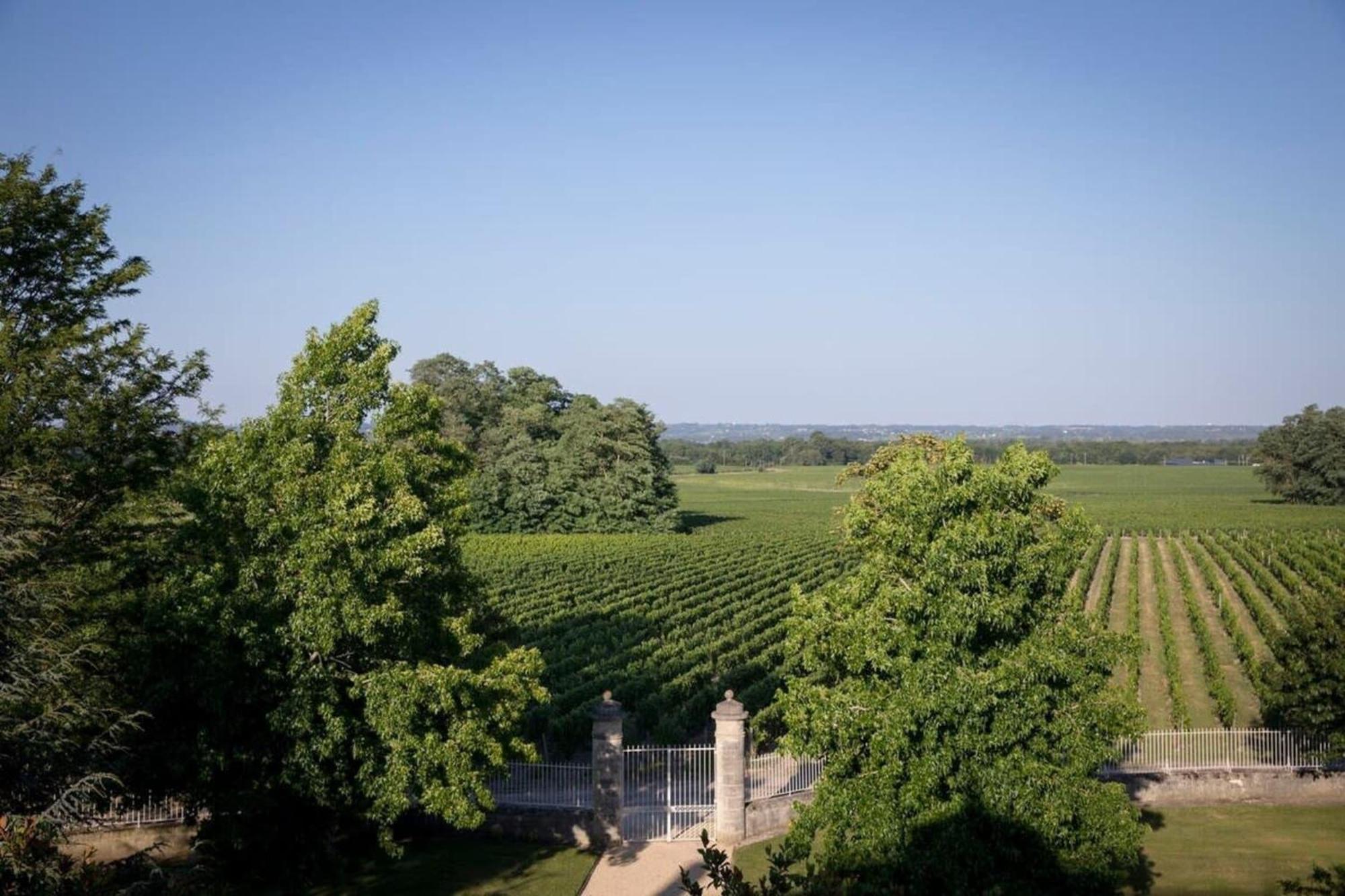 Chateau Malescasse Lamarque Eksteriør bilde